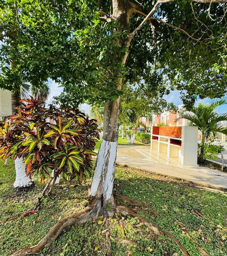 Alloggio in famiglia Appartamento Casa Margu Cancún